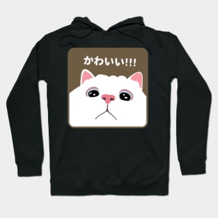 Cat Close To Camera Meme Hoodie